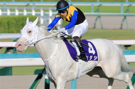 初ダートでg1に挑戦した馬はどうなったのか？【一覧】 競馬の教室