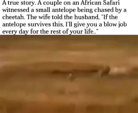 True Story A Couple On An African Safari Witnessed A Small Antelope