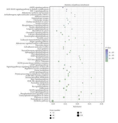 Pathway Enrichment Analysis Of The Target Genes Of Differentially