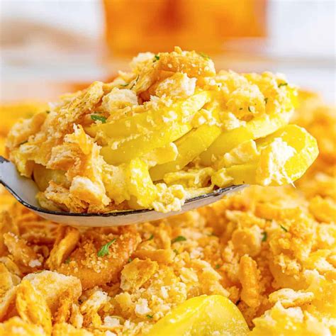 Summer Squash Casserole Recipes