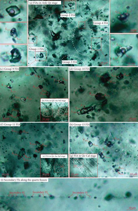 Photomicrographs Of Fluid Inclusions Assemblages Fias In The