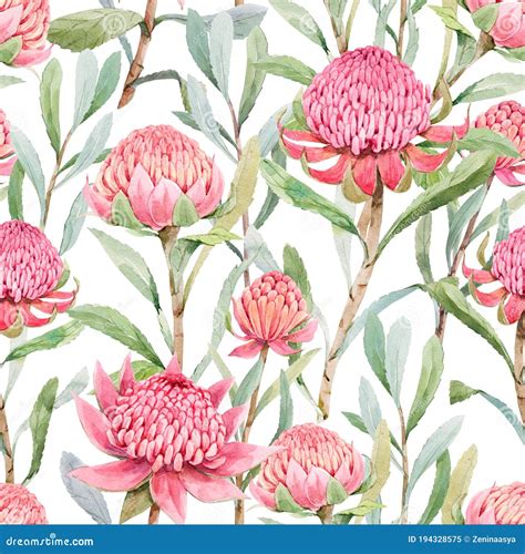 Beautiful Seamless Floral Pattern With Watercolor Summer Protea Flowers