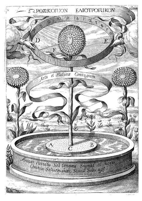 The Sunflower Clock Athanasius Kircher At Stanford