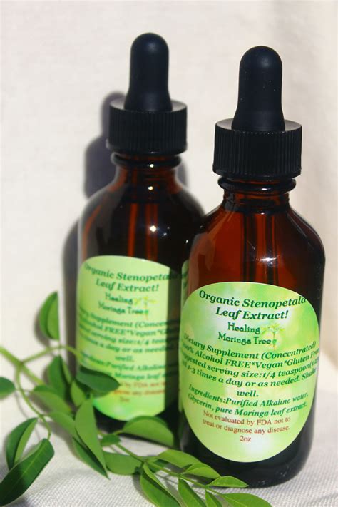 Organic Moringa Leaf Extracts Moringa Leaf Tincture 2oz Moringa