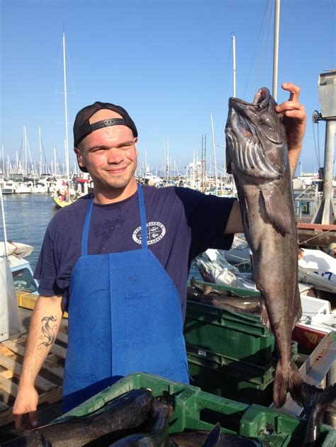 Black Cod Fresh Catch Of The Day At The Santa Barbara Harbor Black