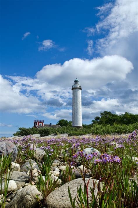 Lighthouse With Flowersplymouthuk Stock Image Image Of Beam Rocky