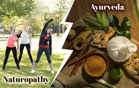 What Is The Difference Between Ayurveda And Naturopathy JKYog