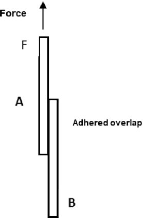 Figure From Fermentation Derived Albumin Based Hydrogels For Tissue