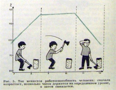 Интересные факты о работоспособности человека. • С 6 до 7 утра – «окно ...