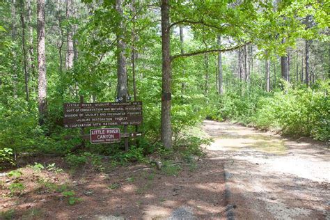 Desoto State Park Archives Alabama Recreation Trails