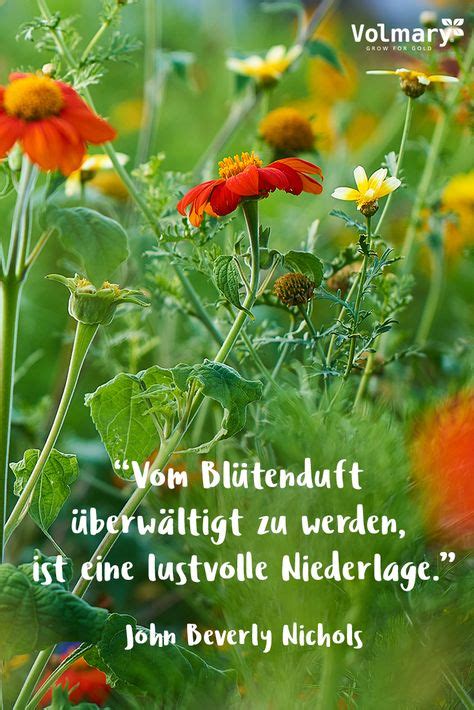 16 Gartenzitate Ideen Garten Zitate Kleine Zitate Zitate