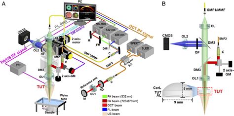 Quadruple Ultrasound Photoacoustic Optical Coherence And