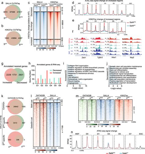 Sall Nurd Complex Cooperate To Close Somatic Chromatin A B Venn