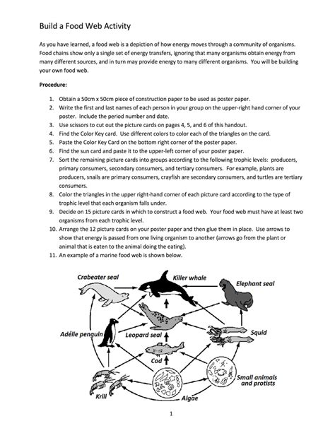 Making A Food Web Activity