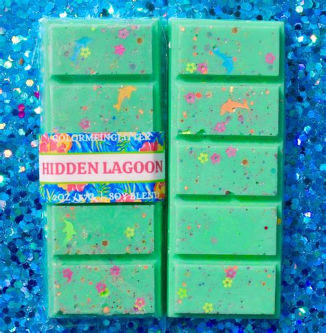 Hidden Oasis Scented Wax Melt Soy Blend Wax Melt Great T Soy Wax Blend Refreshing Scent Fun