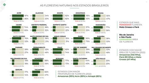 Brasil Perdeu Quase 10 Milhões De Hectares De Florestas Em Cinco Anos