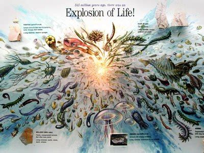 Cambrian Explosion Crisis Worsens – CEH