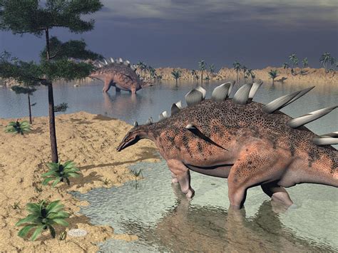 Kentrosaurus Dinosaurs In The Desert 3d Render Digital Art By Elenarts Elena Duvernay