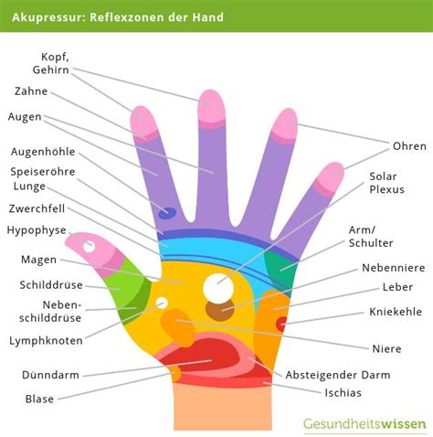 Akupressur Anwendung Gegen Beschwerden Akupressur Ratgeber