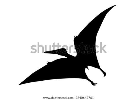 Silhouette Pterosaur On White Background Stock Illustration 2240642761