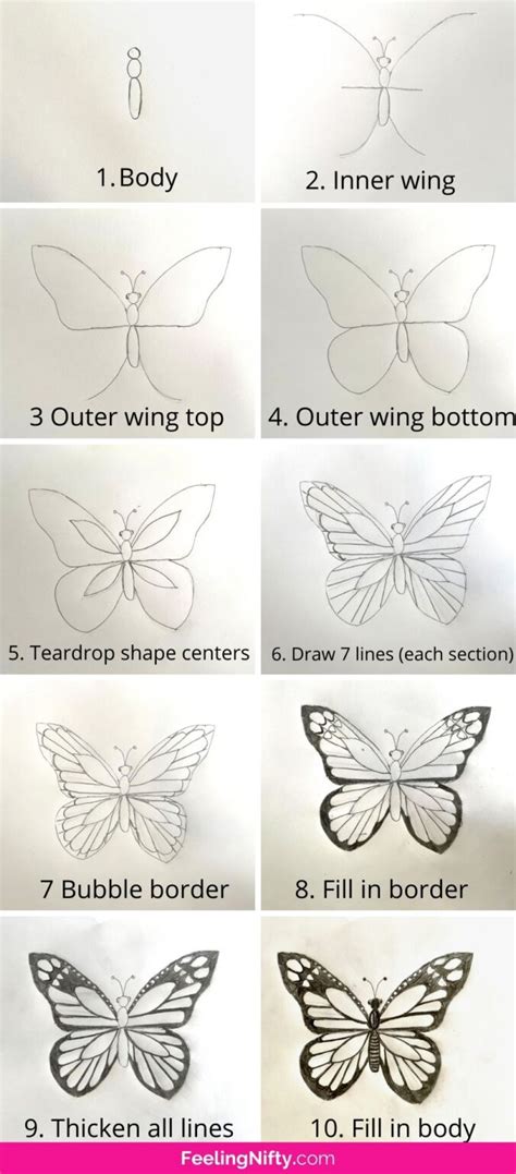 Step By Step Butterfly Drawing Perez Faber