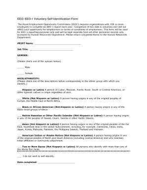 Self Identification Form 2023 Printable Forms Free Online