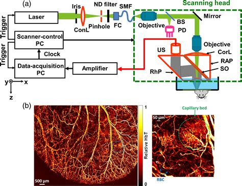 Tutorial On Photoacoustic Tomography