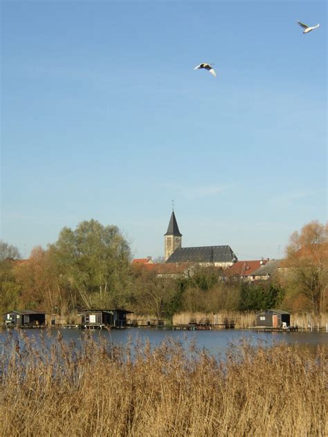 Patrimoine Hoste Valette