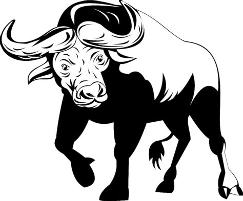 Arquivos Desenhos Buffalo Png