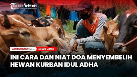 Tidak Sembarangan Ini Cara Dan Niat Doa Menyembelih Hewan Kurban Idul