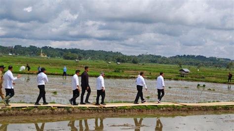 Presiden Jokowi Tinjau Program Pompanisasi Di Bone Petani Optimis