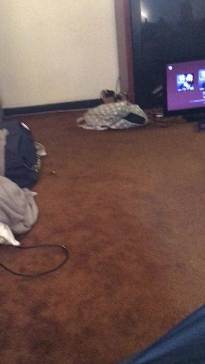 Free Scorpio Porn Videos Xhamster