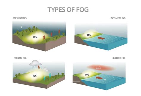 Tipos De Diagrama De Niebla Vector Premium