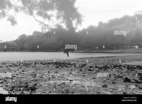 Beautiful Landscape Photos In Sri Lanka Visit Sri Lanka Stock Photo