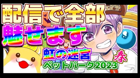 【チョコットランド】ペットパーク2023春 ダイヤスラリアント捕獲から育成まで全部魅せます🐈【虹の迷宮】20230114 Youtube