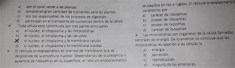 Marque Con Una X La Respuesta Correcta Justifica Tu Respuesta La