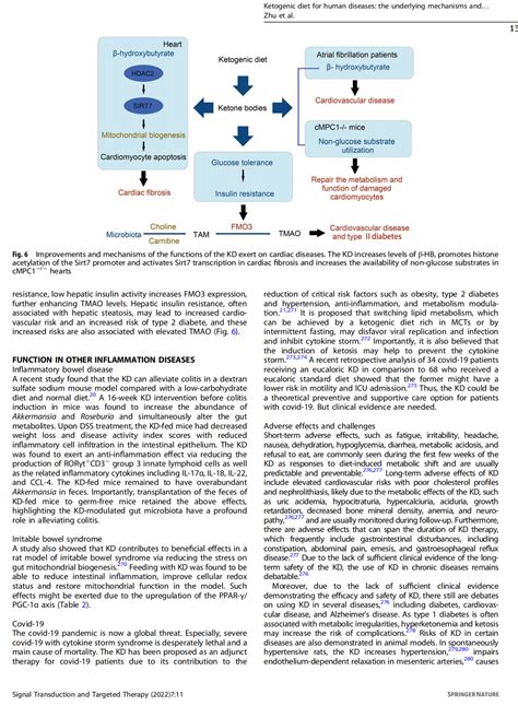 Signal Transduct Target Ther 丨人类疾病的生酮饮食潜在机制和临床应用的潜力 医谱