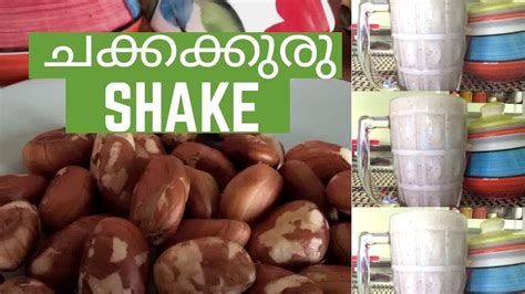 ചക്കക്കുരു ഷേക്ക് Jackfruit Seed Shake Chakkakkuru Shake Youtube