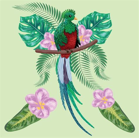 Hand Drawn Quetzal Bird Colorful Illustration Quetzal Sitting On A