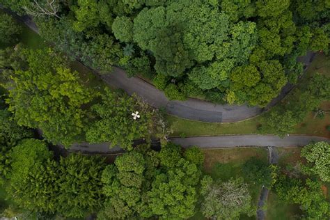 Plataforma Avalia Barueri Como A Cidade Mais Sustent Vel E Inovadora Do