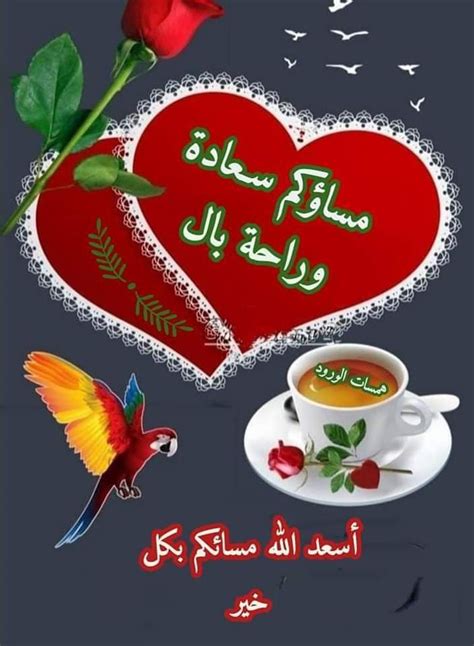 Pin Van Waleed Salih Op Good Evening Morning