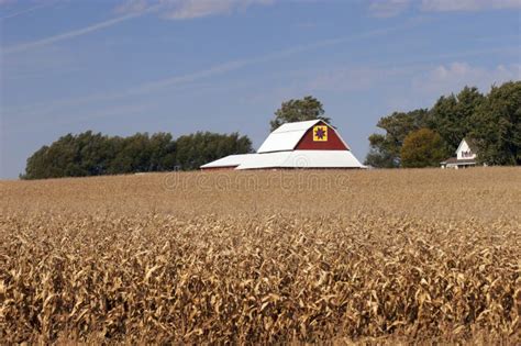 Corn Field Stock Photo Image Of Field Corn Barn Sepia 13516008