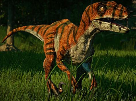 Tiger Striped Raptor Skin V20 Rjurassicworldevo