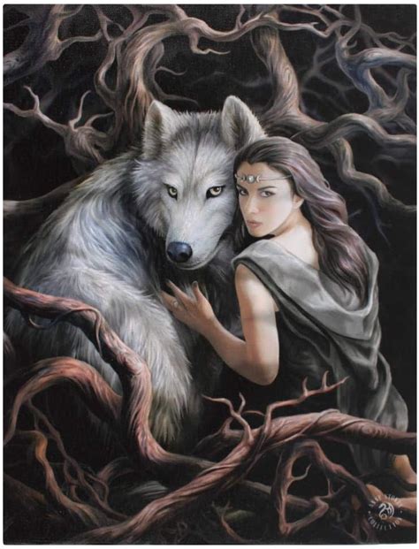 Fantastic Anne Stokes Design Winter Guardian Canvas Wall Plaque White