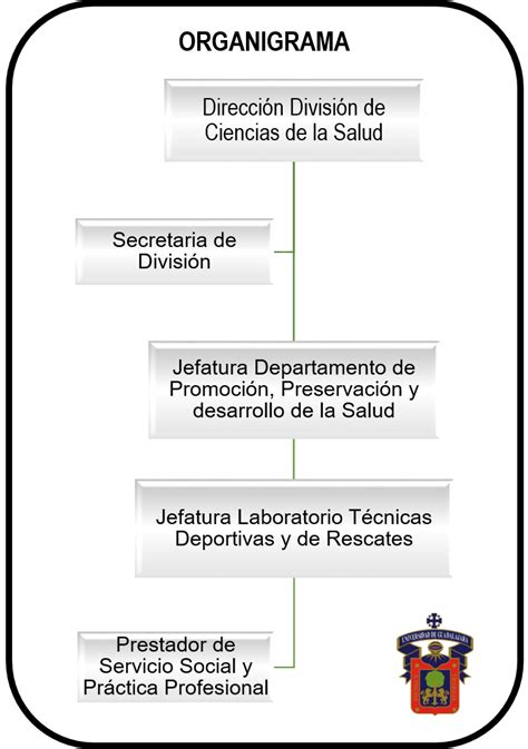 Organigrama Centro Universitario Del Sur