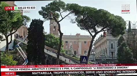 Franco Quaranta Di Difendiamo I Pini Su Abbattimenti In Piazza