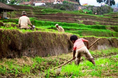 Comment Lutter Contre Le Travail Des Enfants 1jour1actu