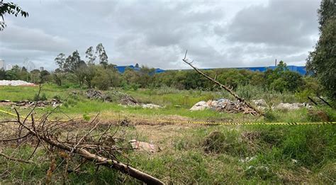 Terreno Baldio Vira Cena De Crime E Preocupa Moradores Do Entorno