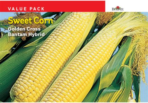 Burpee Sweet Corn Golden Cross Bantam Hybrid Seeds Value Pack 1 Ct