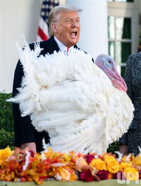 Photo President Trump Pardons The National Thanksgiving Turkey In